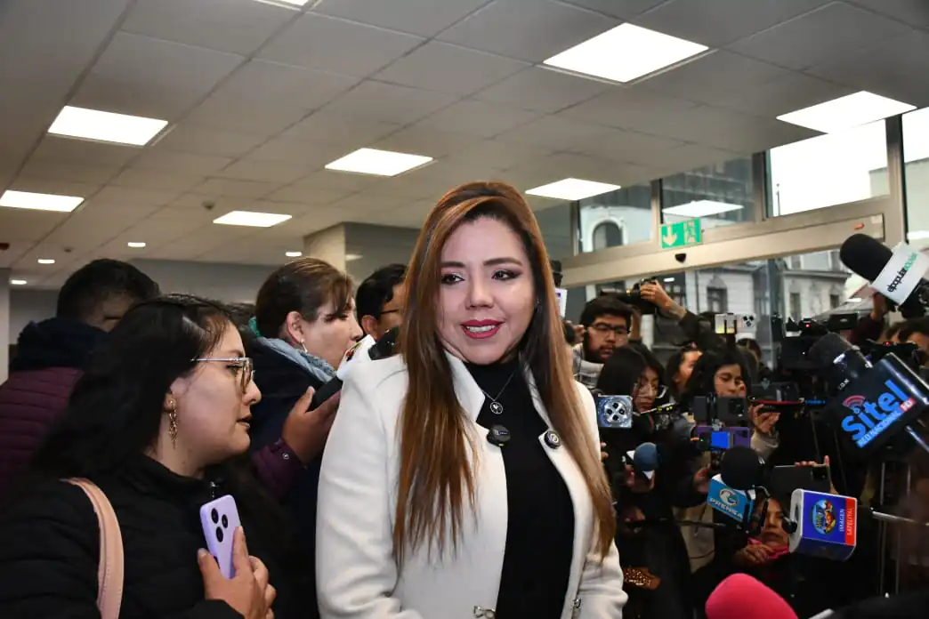 La viceministra de Comunicación, Gabriela Alcón. Foto: APG.