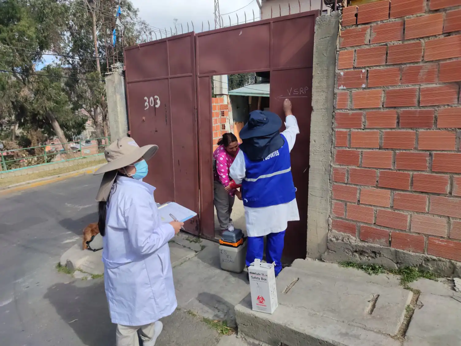 Brigadas de salud recorren las viviendas del país. Foto: Ministerio de Salud.