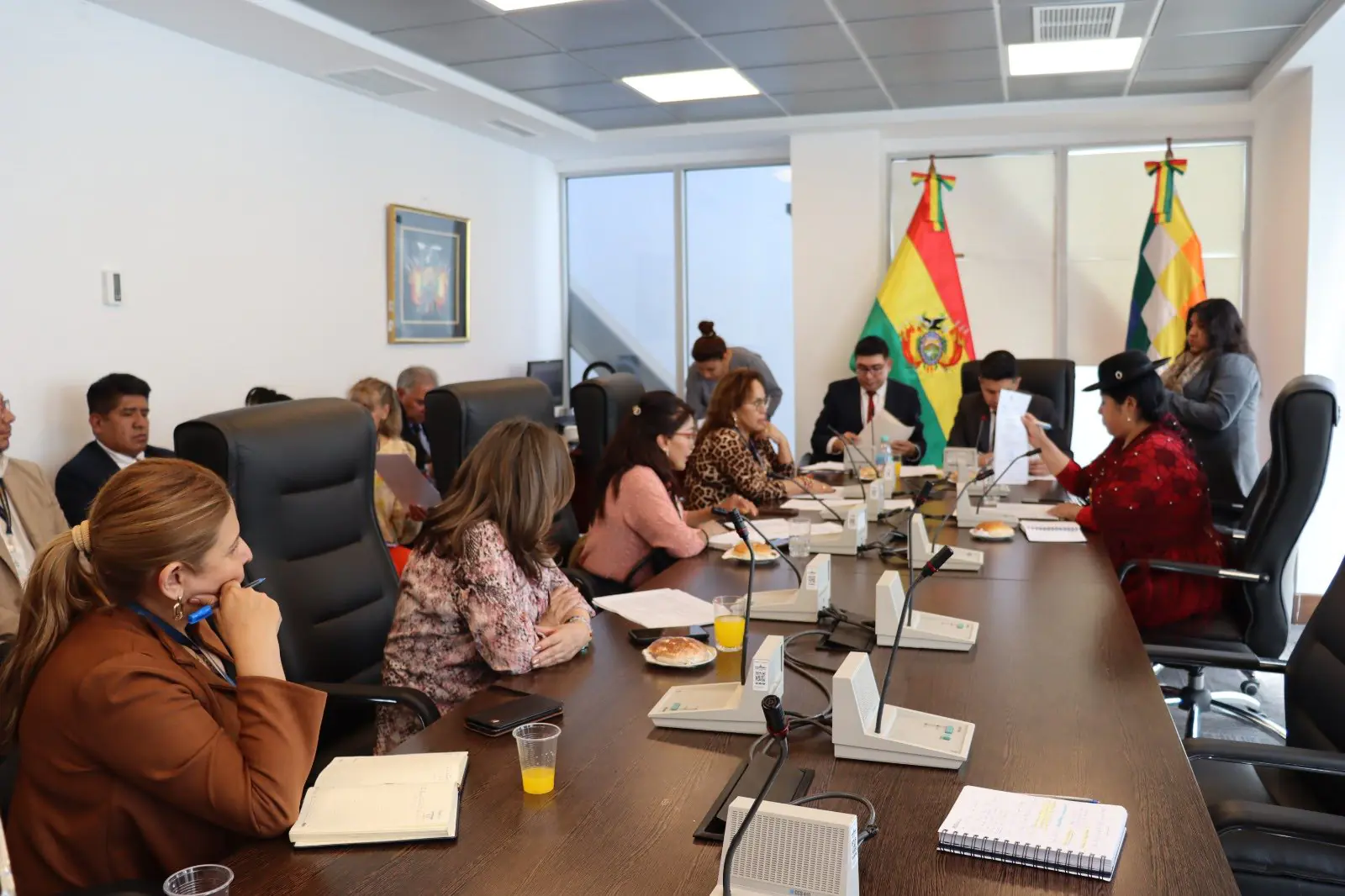 Sesión de la Comisión de Justicia Plural de la Cámara de Diputados. (Foto: Diputados)